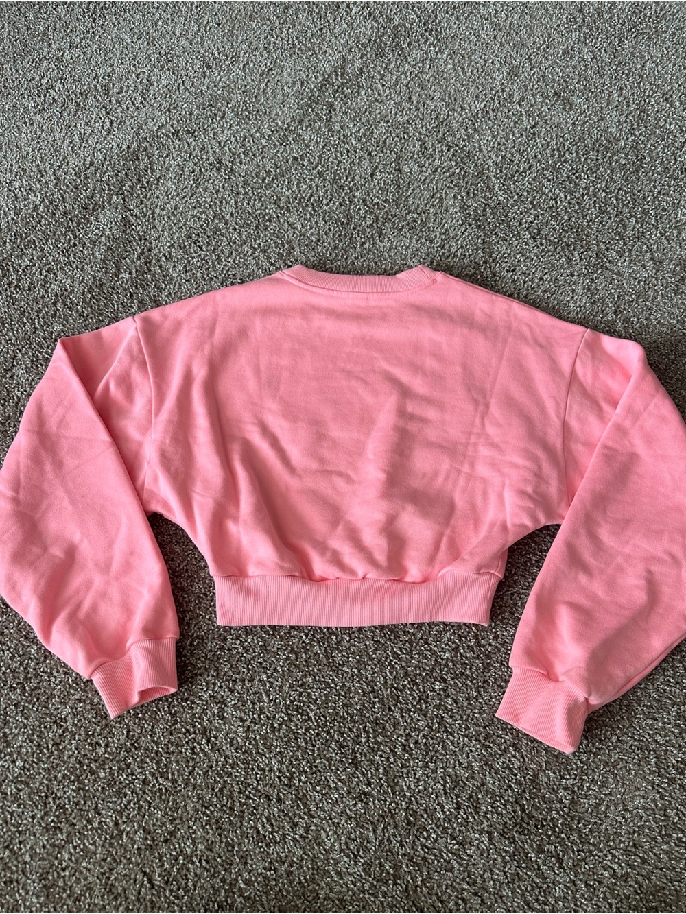 Alo Cropped Crewneck Sweatshirt *neon bubblegum* - Picture 2 of 3